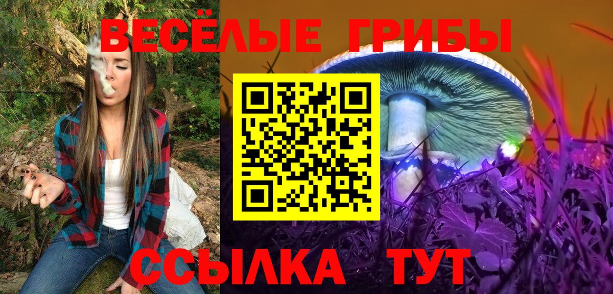 Кстово  Псилоцибиновые грибы Psilocybine cubensis  наркошоп  Вход с VPN 