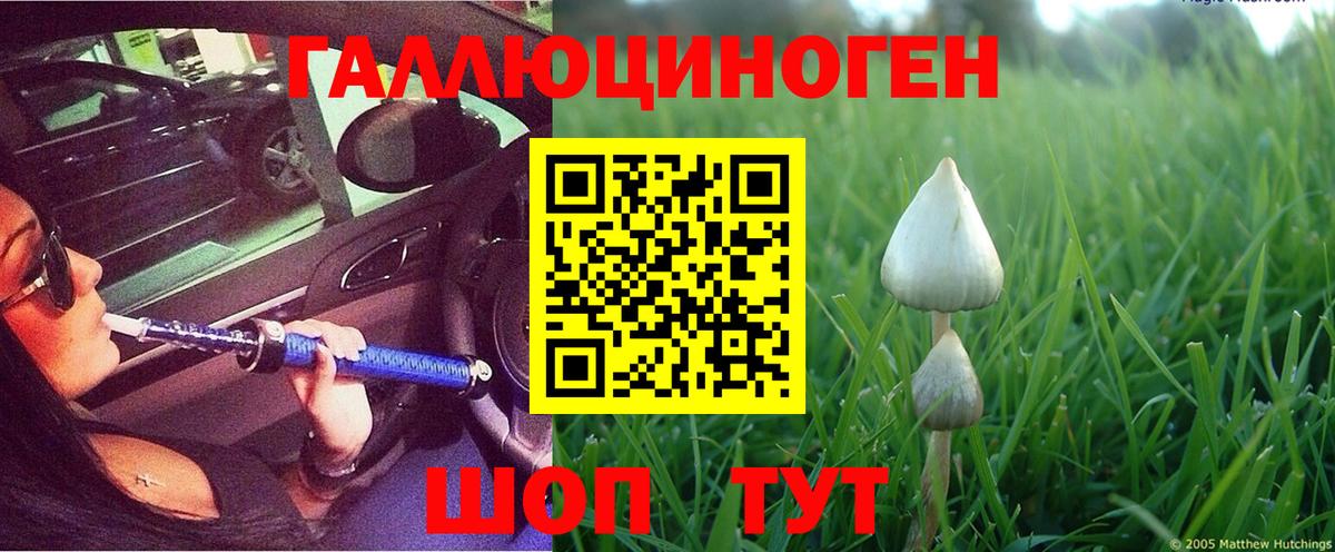 Галлюциногенные грибы прущие грибы Кстово